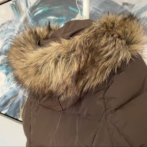 Hollister brown Puffer Parka Coat